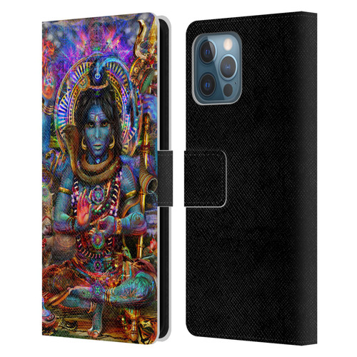 Jumbie Art Gods and Goddesses Shiva Leather Book Wallet Case Cover For Apple iPhone 12 Pro Max