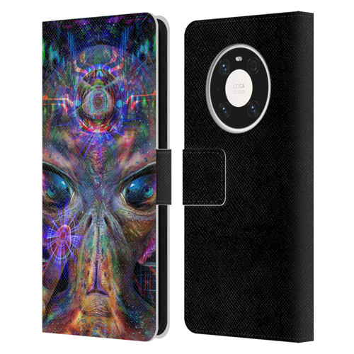Jumbie Art Visionary Alien Leather Book Wallet Case Cover For Huawei Mate 40 Pro 5G