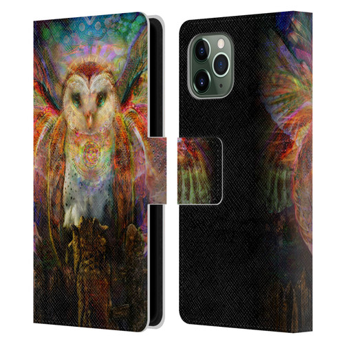 Jumbie Art Visionary Owl Leather Book Wallet Case Cover For Apple iPhone 11 Pro