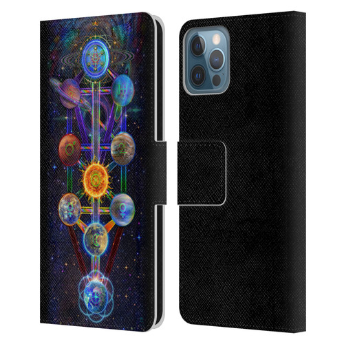 Jumbie Art Visionary Tree Of Life Leather Book Wallet Case Cover For Apple iPhone 12 / iPhone 12 Pro