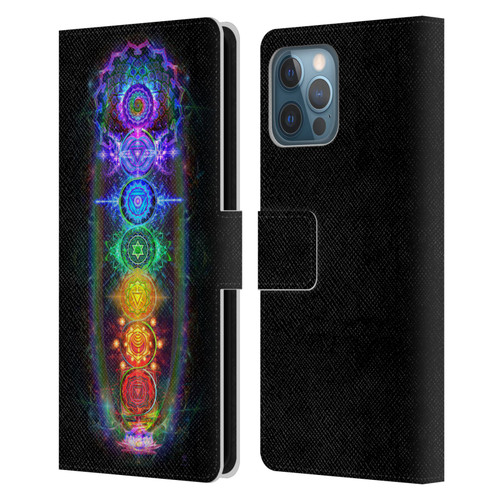Jumbie Art Visionary Chakras Leather Book Wallet Case Cover For Apple iPhone 12 Pro Max