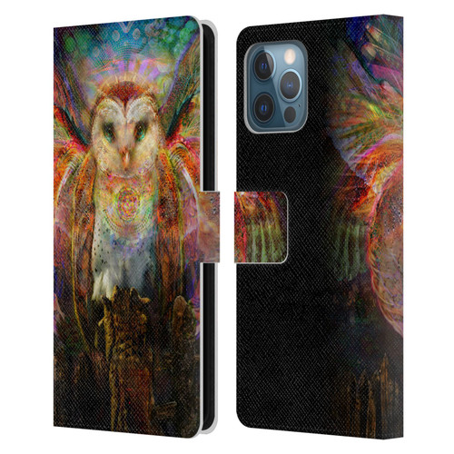 Jumbie Art Visionary Owl Leather Book Wallet Case Cover For Apple iPhone 12 Pro Max