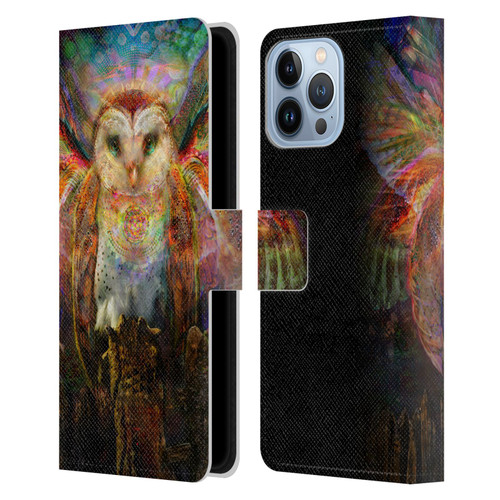 Jumbie Art Visionary Owl Leather Book Wallet Case Cover For Apple iPhone 13 Pro Max
