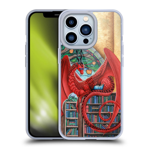 Carla Morrow Dragons Gateway Of Knowledge Soft Gel Case for Apple iPhone 13 Pro