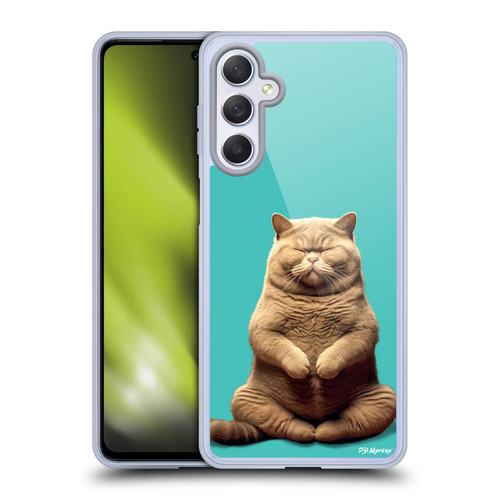 P.D. Moreno Furry Fun Artwork Sitting Cat Soft Gel Case for Samsung Galaxy M54 5G