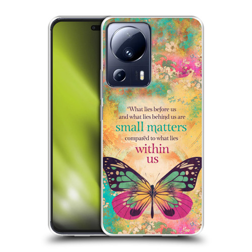 Duirwaigh Insects Butterfly 2 Soft Gel Case for Xiaomi 13 Lite 5G