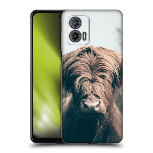 Patrik Lovrin Animal Portraits Highland Cow Soft Gel Case for Motorola Moto G73 5G
