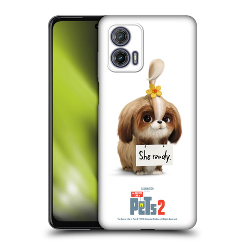 The Secret Life of Pets 2 Character Posters Daisy Shi Tzu Dog Soft Gel Case for Motorola Moto G73 5G