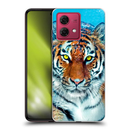 Aimee Stewart Animals Yellow Tiger Soft Gel Case for Motorola Moto G84 5G