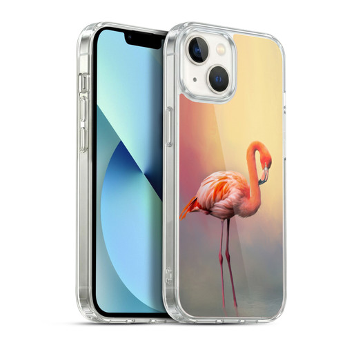 Simone Gatterwe Assorted Designs American Flamingo Soft Gel Case for Apple iPhone 13