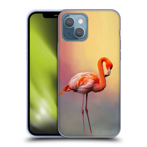 Simone Gatterwe Assorted Designs American Flamingo Soft Gel Case for Apple iPhone 13