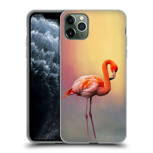 Simone Gatterwe Assorted Designs American Flamingo Soft Gel Case for Apple iPhone 11 Pro Max