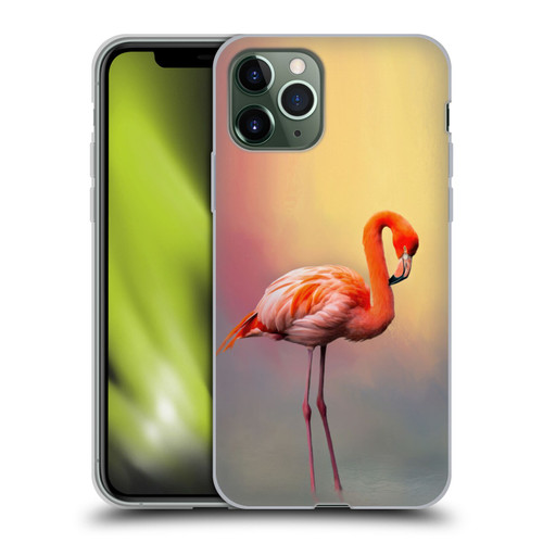 Simone Gatterwe Assorted Designs American Flamingo Soft Gel Case for Apple iPhone 11 Pro