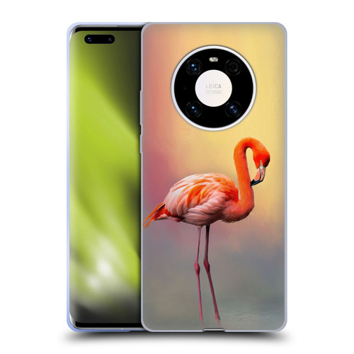 Simone Gatterwe Assorted Designs American Flamingo Soft Gel Case for Huawei Mate 40 Pro 5G
