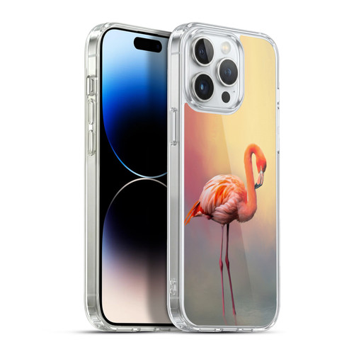 Simone Gatterwe Assorted Designs American Flamingo Soft Gel Case for Apple iPhone 13 Pro Max & MagSafe