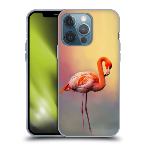 Simone Gatterwe Assorted Designs American Flamingo Soft Gel Case for Apple iPhone 13 Pro