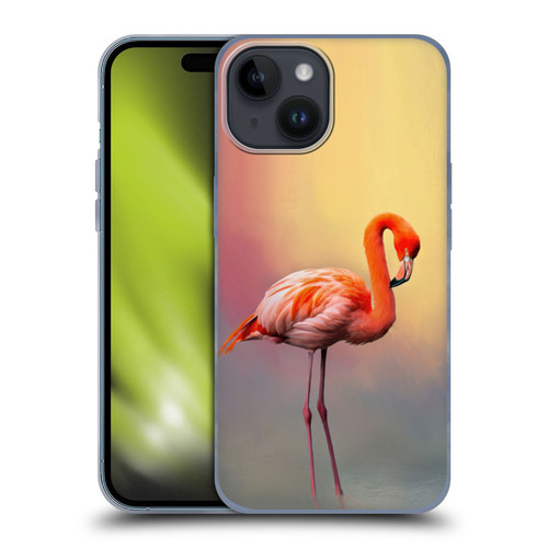 Simone Gatterwe Assorted Designs American Flamingo Soft Gel Case for Apple iPhone 15