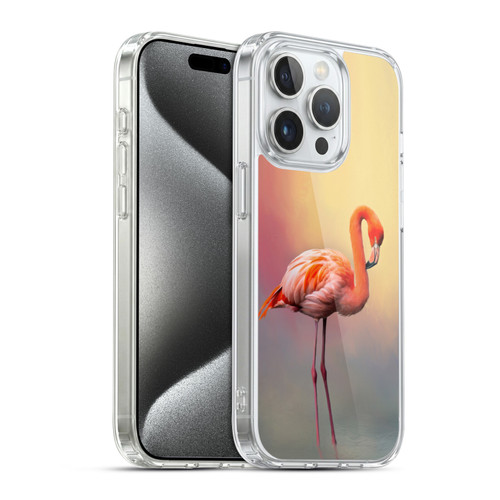 Simone Gatterwe Assorted Designs American Flamingo Soft Gel Case for Apple iPhone 15 Pro & MagSafe