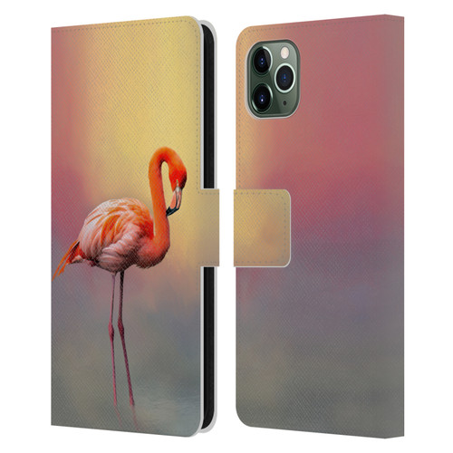 Simone Gatterwe Assorted Designs American Flamingo Leather Book Wallet Case Cover For Apple iPhone 11 Pro Max