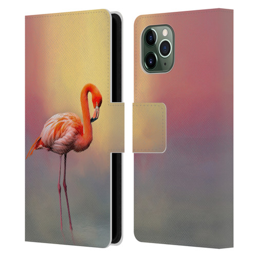 Simone Gatterwe Assorted Designs American Flamingo Leather Book Wallet Case Cover For Apple iPhone 11 Pro