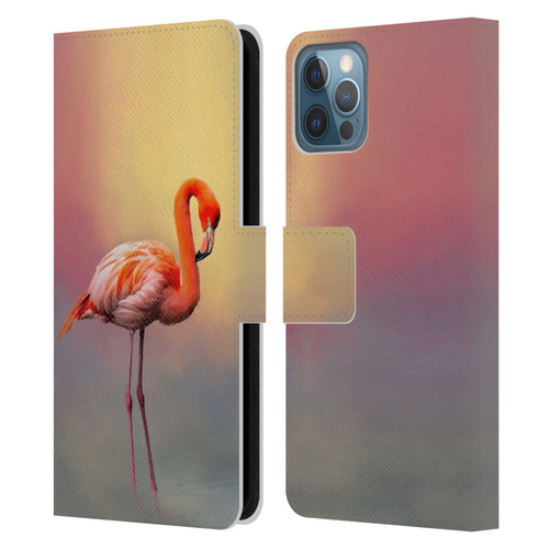 Simone Gatterwe Assorted Designs American Flamingo Leather Book Wallet Case Cover For Apple iPhone 12 / iPhone 12 Pro