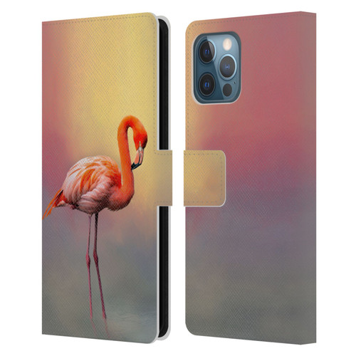 Simone Gatterwe Assorted Designs American Flamingo Leather Book Wallet Case Cover For Apple iPhone 12 Pro Max