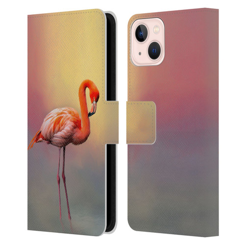 Simone Gatterwe Assorted Designs American Flamingo Leather Book Wallet Case Cover For Apple iPhone 13