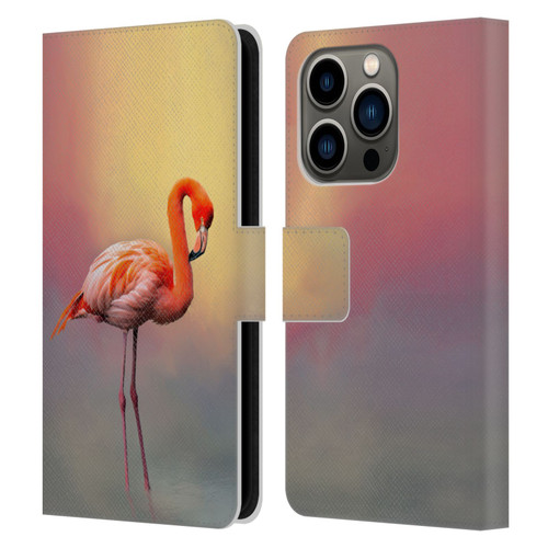 Simone Gatterwe Assorted Designs American Flamingo Leather Book Wallet Case Cover For Apple iPhone 14 Pro