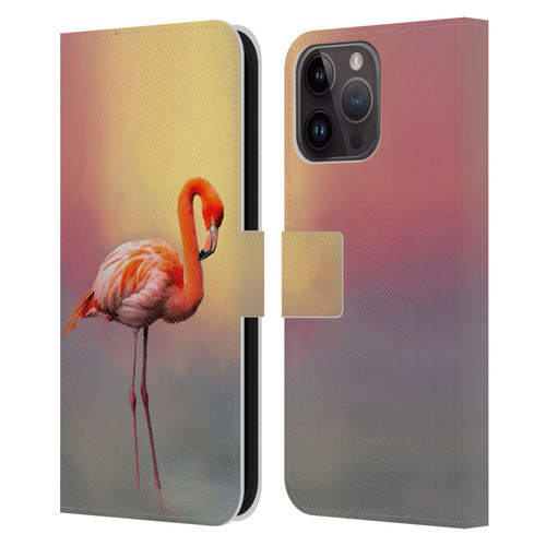 Simone Gatterwe Assorted Designs American Flamingo Leather Book Wallet Case Cover For Apple iPhone 15 Pro Max