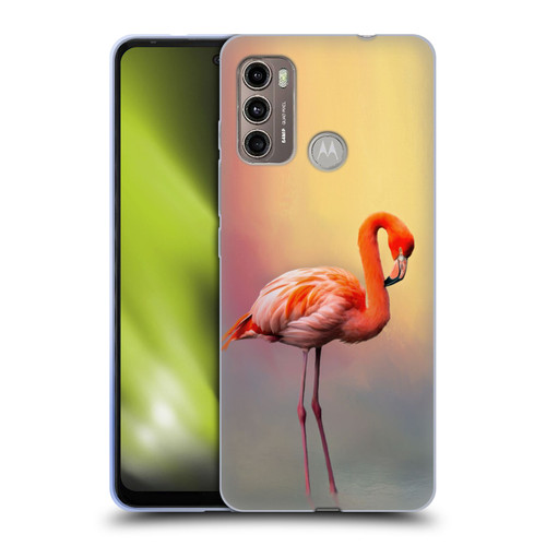 Simone Gatterwe Assorted Designs American Flamingo Soft Gel Case for Motorola Moto G60 / Moto G40 Fusion