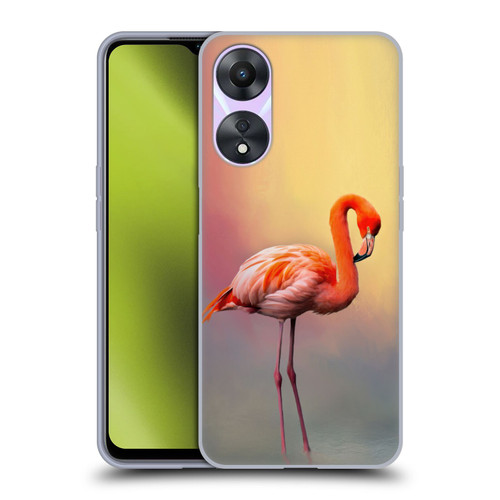 Simone Gatterwe Assorted Designs American Flamingo Soft Gel Case for OPPO A78 4G