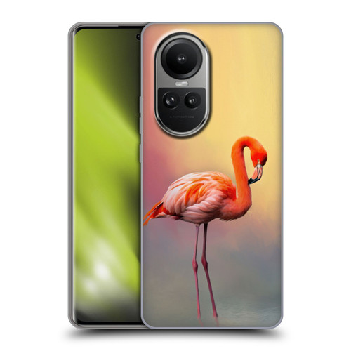 Simone Gatterwe Assorted Designs American Flamingo Soft Gel Case for OPPO Reno10 5G / Reno10 Pro 5G