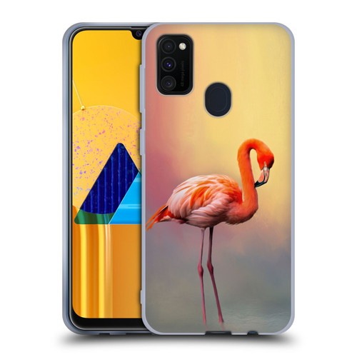 Simone Gatterwe Assorted Designs American Flamingo Soft Gel Case for Samsung Galaxy M30s (2019)/M21 (2020)