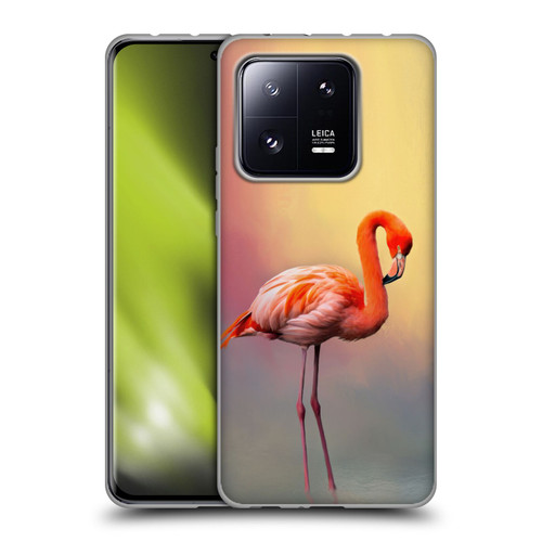 Simone Gatterwe Assorted Designs American Flamingo Soft Gel Case for Xiaomi 13 Pro 5G