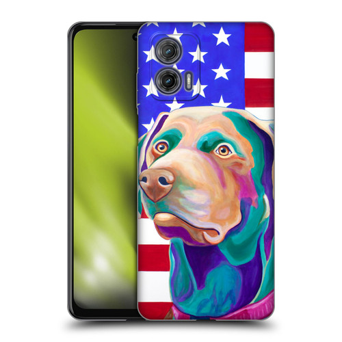 Jody Wright Dog And Cat Collection US Flag Soft Gel Case for Motorola Moto G73 5G