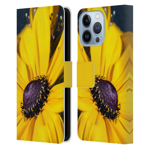 PLdesign Flowers And Leaves Daisy Leather Book Wallet Case Cover For Apple iPhone 13 Pro