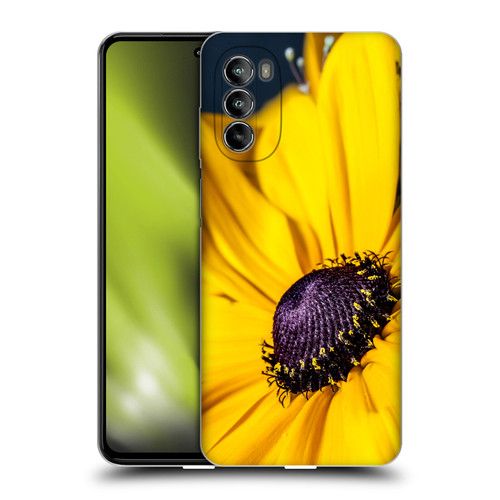 PLdesign Flowers And Leaves Daisy Soft Gel Case for Motorola Moto G82 5G