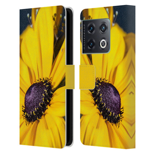 PLdesign Flowers And Leaves Daisy Leather Book Wallet Case Cover For OnePlus 10 Pro