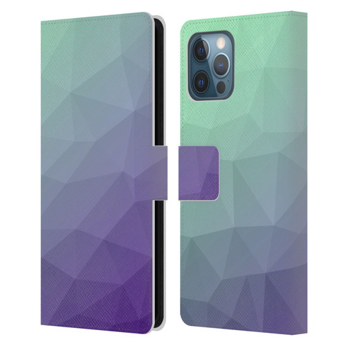 PLdesign Geometric Purple Green Ombre Leather Book Wallet Case Cover For Apple iPhone 12 Pro Max