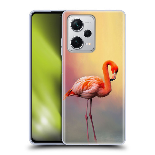 Simone Gatterwe Assorted Designs American Flamingo Soft Gel Case for Xiaomi Redmi Note 12 Pro+ 5G