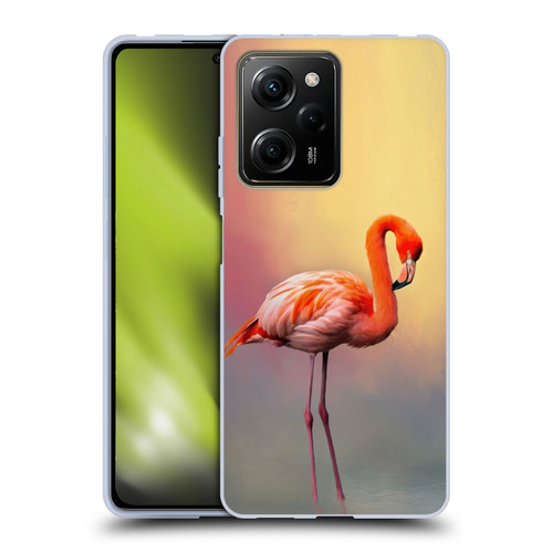 Simone Gatterwe Assorted Designs American Flamingo Soft Gel Case for Xiaomi Redmi Note 12 Pro 5G