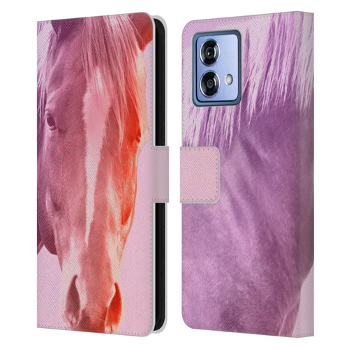 Mark Ashkenazi Pastel Potraits Horse Leather Book Wallet Case Cover For Motorola Moto G84 5G