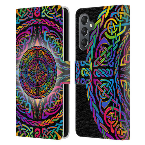 Beth Wilson Rainbow Celtic Knots Shield Leather Book Wallet Case Cover For Samsung Galaxy A25 5G