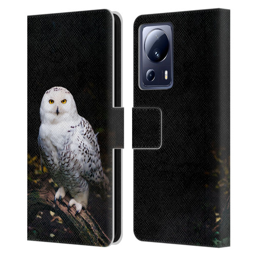 Patrik Lovrin Animal Portraits Majestic Winter Snowy Owl Leather Book Wallet Case Cover For Xiaomi 13 Lite 5G