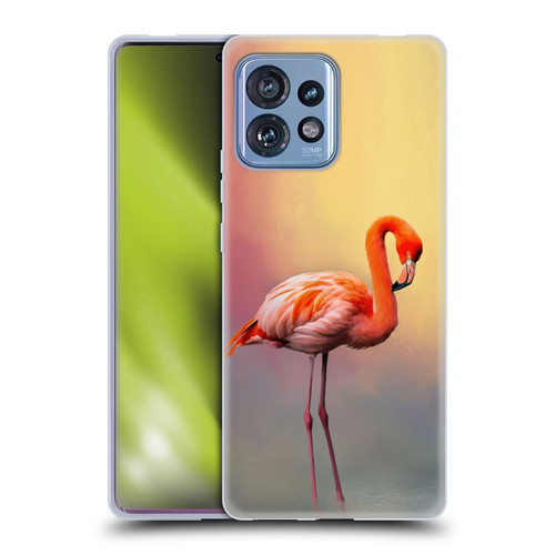 Simone Gatterwe Assorted Designs American Flamingo Soft Gel Case for Motorola Moto Edge 40 Pro