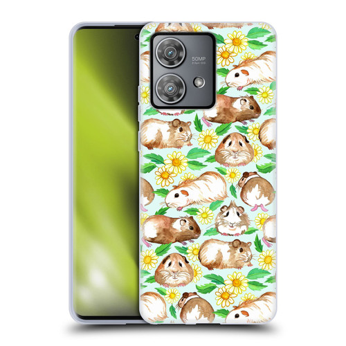 Micklyn Le Feuvre Patterns 2 Guinea Pigs And Daisies In Watercolour On Mint Soft Gel Case for Motorola Edge 40 Neo 5G