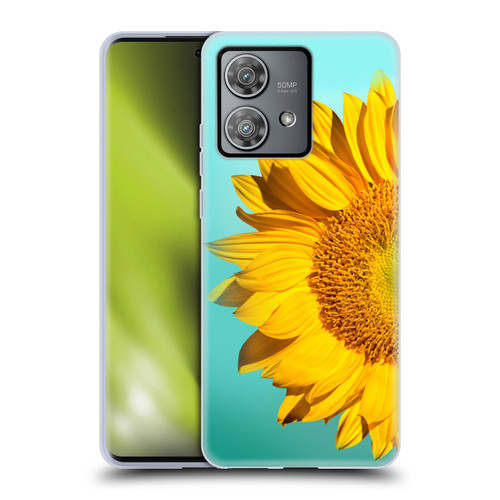 Mark Ashkenazi Florals Sunflowers Soft Gel Case for Motorola Edge 40 Neo 5G