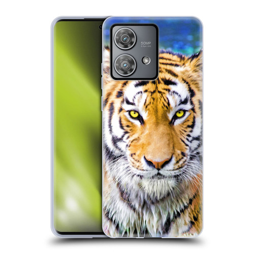 Aimee Stewart Animals Tiger and Lily Soft Gel Case for Motorola Edge 40 Neo 5G