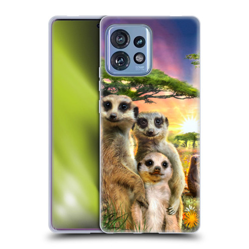 Aimee Stewart Animals Meerkats Soft Gel Case for Motorola Moto Edge 40 Pro