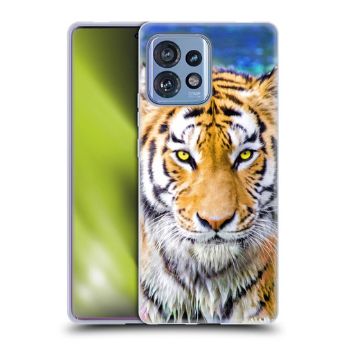 Aimee Stewart Animals Tiger and Lily Soft Gel Case for Motorola Moto Edge 40 Pro